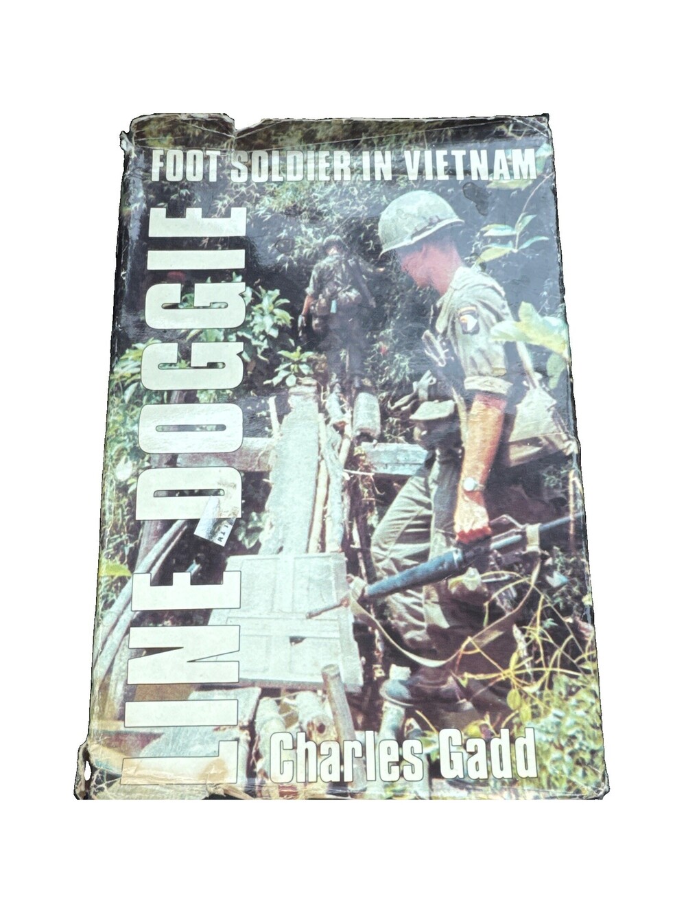 Line Doggie Foot Soldier in Vietnam by Gadd Charles